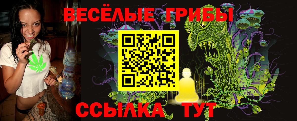 Галлюциногенные грибы мухоморы Кировск