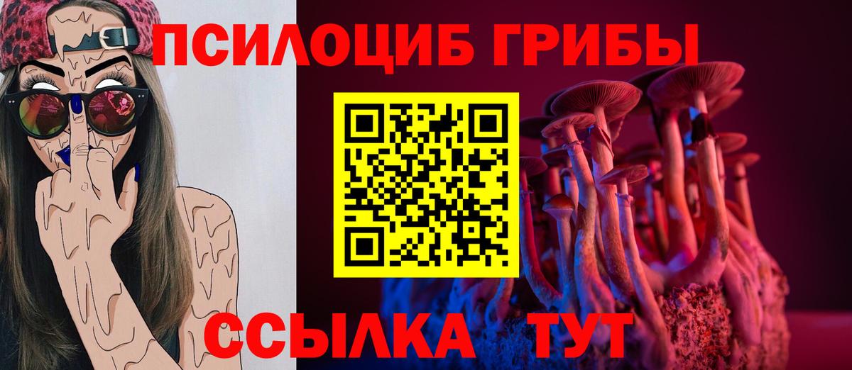 Кировск  Галлюциногенные грибы Psilocybine cubensis  Псилоцибиновые грибы мицелий  Вход с VPN 
